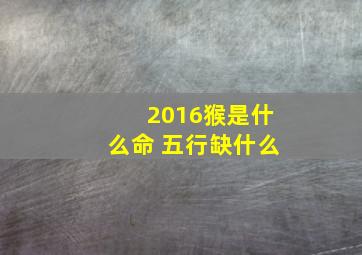 2016猴是什么命 五行缺什么